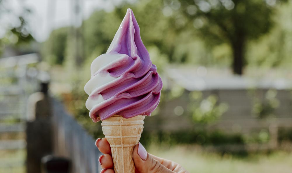 lody - najbardziej opłacalny biznes 