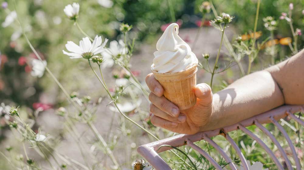 sprzedaż lodów w Polsce i za granicą Lody soft marki LYKKE zdobywają kolejne rynki